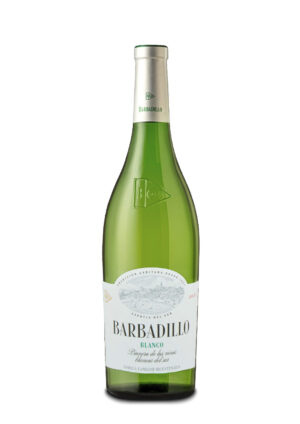 Barbadillo Blanco de Albariza 2024