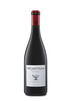 Secastilla 2019
