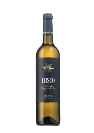 Lusco 2024