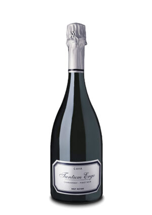 Tantum Ergo Chardonnay-Pinot Noir 2022 Blanco