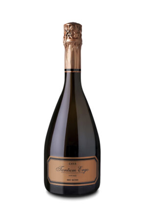 Tantum Ergo Vintage Blanco 2020