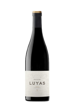 Pico de Luyas 2020