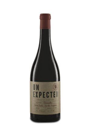 Aylés Unexpected Garnacha 2024 Ecológico