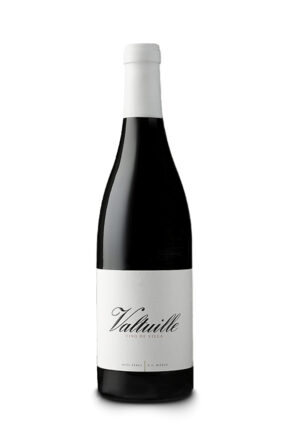 Castro Ventosa Valtuille Vino de Villa 2023