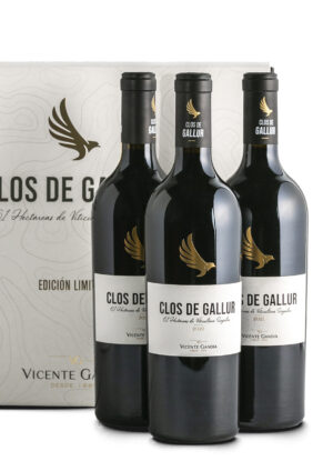 Clos de Gallur Guarda Tinto 2021