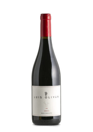 Luis Oliván Garnacha Ainzón 2021