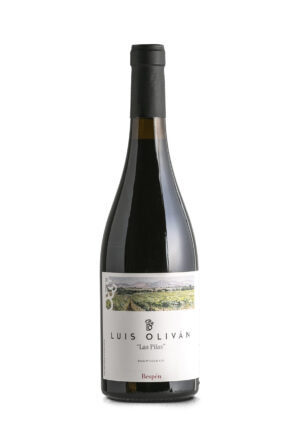 Luis Oliván Garnacha de Bespén «Las Pilas» 2023