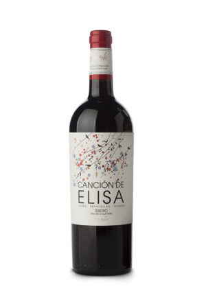 Canción de Elisa Tinto 2024