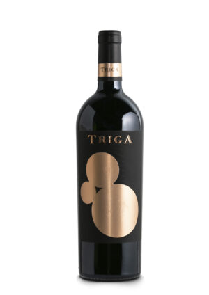 Triga 2020