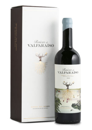 Raíces de Valparaíso 2022