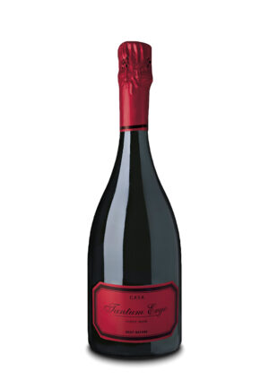 Tantum Ergo Rosé