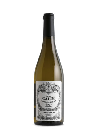 Virgen del Galir Val do Galir Godello 2025
