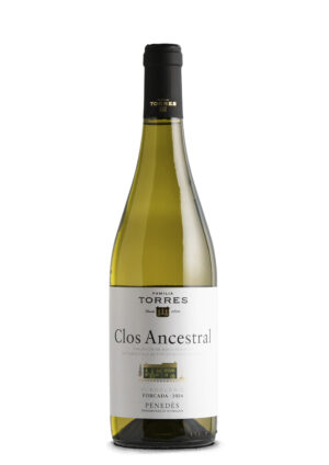 Familia Torres Clos Ancestral Blanco 2024 Ecológico