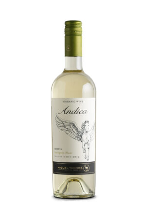 Miguel Torres Ándica Sauvignon Blanc Reserva 2025 Organic