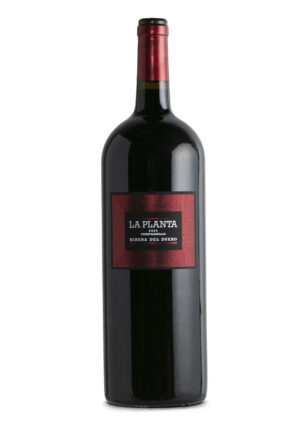 Arzuaga La Planta Magnum 2024