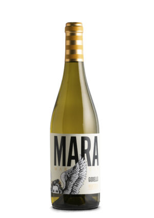 Mara Martín Godello 2025