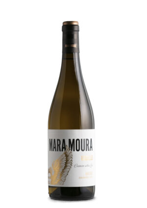 Mara Moura 2024