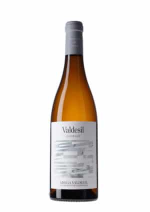 Valdesil Sobre Lías Godello 2024